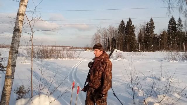 Охота на лису 1/3 день. Закрытие сезона 2017-2018 г.. смотреть онлайн