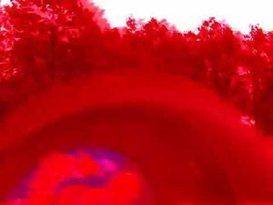 Материалы расследования Уфимского мискатонического университета