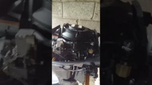 Yamaha F20