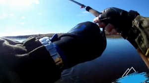 ловим жереха верхняя волга. тверская область.