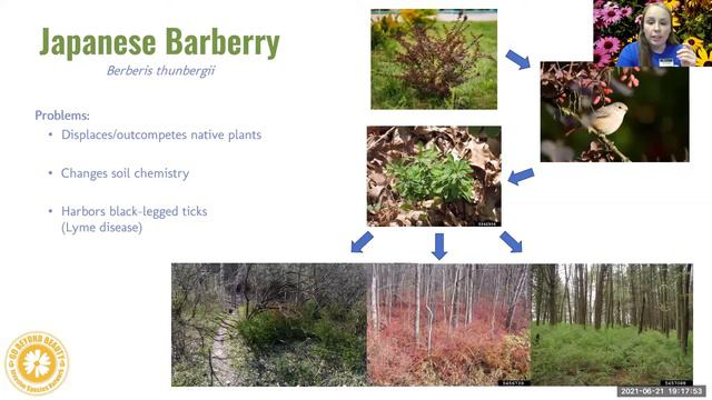 Go Beyond Beauty: For wildlife, clean waters, & beautiful gardens смотреть онлайн