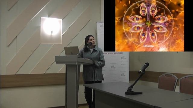 Токсоплазмоз. Патогенез, особенности лабораторной диагностики, какой материал выбрать для анализа.