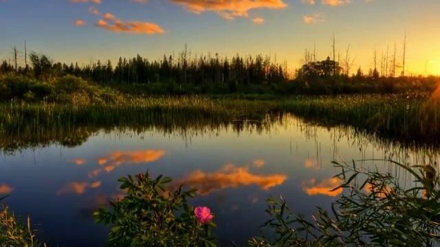 Закаты и рассветы смотреть онлайн