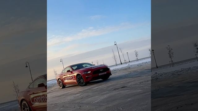 WEB3XMS — Выиграй Mustang на Новый Год или 1 из 10,000 призов на $250,000!