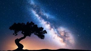Летняя ночь, звук сверчков для расслабления. Черный экран для ночника