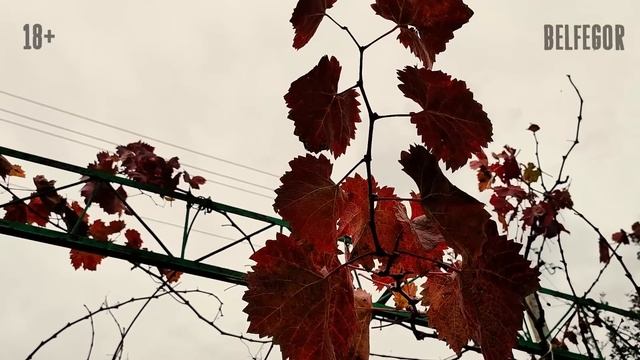 ГОСТИ. Страшные истории про деревню. Мистика. Ужасы смотреть онлайн