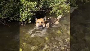 ...кончается лето, осталось каких-нибудь пару недель