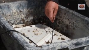 Обогреватель  поилки для  пчёл