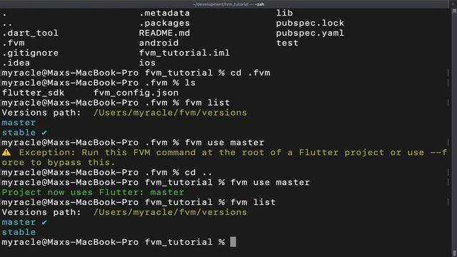 Flutter Version individual for every project - Flutter Version Manager смотреть онлайн