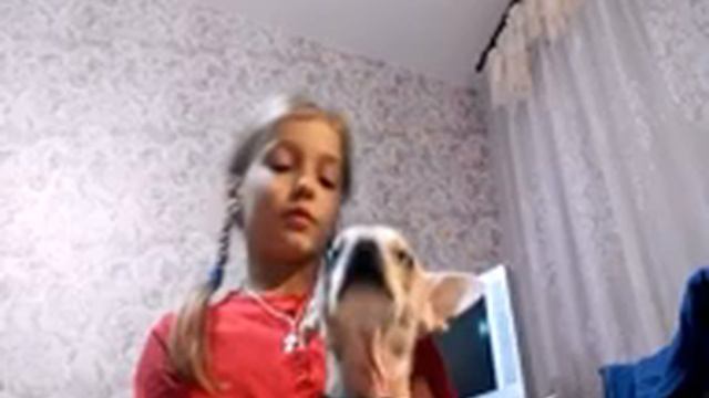 Как ухаживать за шерстью гладкошёрстной собаки? смотреть онлайн