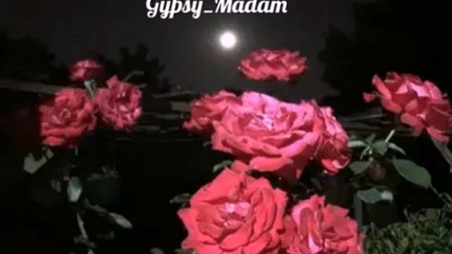 Гриша Вэдэха-Новая цыганская песня 2021©® смотреть онлайн