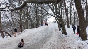 Ашман Парк, Калининград.