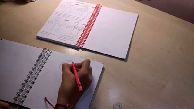 Мой блокнот ? Sketch Book ?рисунки животных ? рисуем фламинго ?❣️