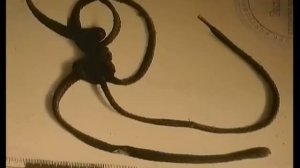 [Вне Закона] Дорога в Ад