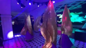 Arabian night. Oriental dance with wings.  Aladdin 2019