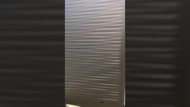 Монитор Samsung смотреть онлайн