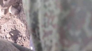 заводим крота .