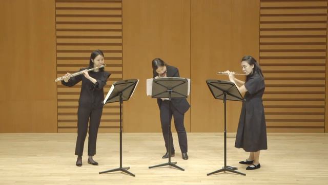 Herman Beeftink _ Birds, Trio for Piccolo, Flute and Alto flute смотреть онлайн