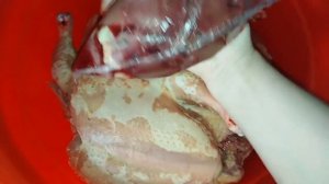 Сколько весят Куры-бройлеры в 2 месяца.