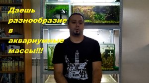 Ну, за разнообразие! Почему в наших аквариумах один ширпотреб! (Архив от 23.09.2021)