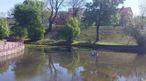 Что посмотреть в Гродно туристу за 1 день. Подробный обзор.