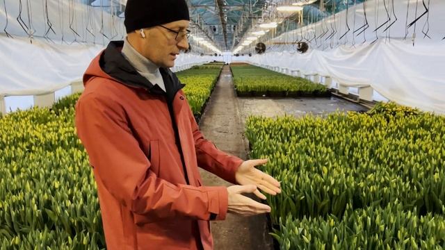 Гидропоника: плюсы, минусы, перспективы. В гостях у Азата в Казани