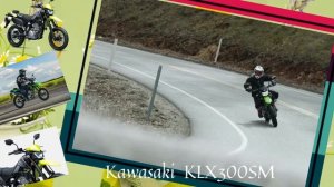 Kawasaki KLX 250 vs Kawasaki KLX 300SM  - Which one is better