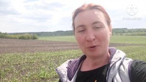 ?чеснок сорт "Любаша".