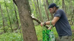 Mushroom foraging eastern NC finding oyster and reishi mushrooms