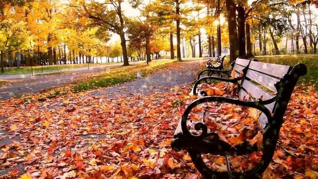 ВЕРОНИКА КРУГЛОВА - ЛИСТЬЯ ПРОШЛОГОДНИЕ. В видео использованы фото других авторов смотреть онлайн