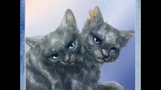 ♦Коты Воители♦Камень и Неведимка ♦ смотреть онлайн