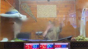 Веер и опахало в бане //Живая Баня Иван Бояринцев