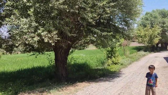 Village life in Tajikistan (Tursunzoda Town) жизнь в кишлак в Таджикистане городок Турсунзода# смотреть онлайн