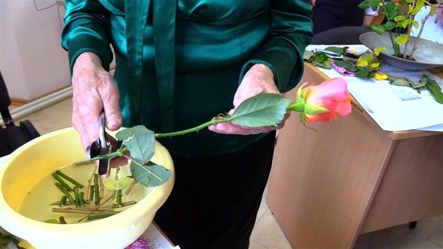 Мастер-классы и лекции о Японии для невельских школьников смотреть онлайн