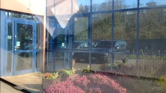 Свет мой зеркальце скажи смотреть онлайн