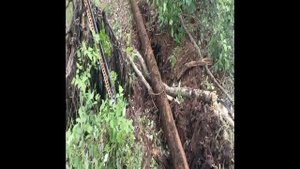 Найдена среди мусора