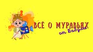 Всё о муравьях для детей и их родителей или как устроен муравейник и можно ли держать дома муравьев