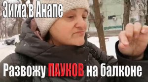 Холодная зима на юге  Купили пуховик Паук на балконе жизнь на юге анапа. Архив