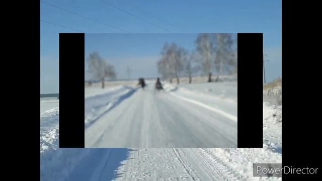 #наши_кони, #припас, #скачки, #приколыслошадьми,#смешныеживотные Запахло весной - прогулка . смотреть онлайн