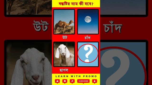 mojar dhadha,Fun puzzle,মজার ধাঁধা, আপনি কি পারবেন এটার উত্তর দিতে?#dhadha #মজার ধাঁধাঁ #মজার