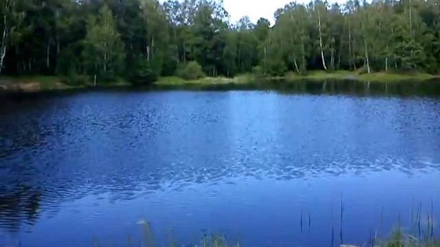 Пруд Рядом С Деревней Сандарово смотреть онлайн