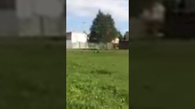 Самодельная машинка (багги) с бензиновым двигателем от триммера на радиоуправлении смотреть онлайн