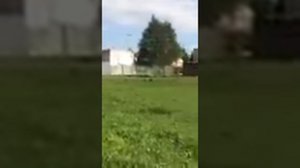 Самодельная машинка (багги) с бензиновым двигателем от триммера на радиоуправлении