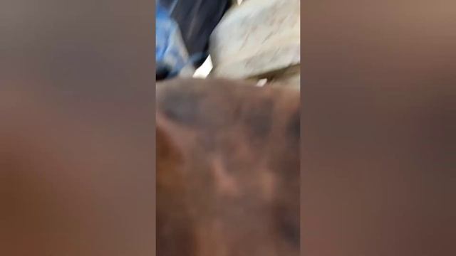 замена задний мост, снятие МКПП и снятия шкворня смотреть онлайн