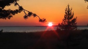 Отдых на Финском заливе 23 июля 2020