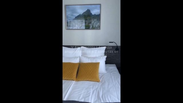 Снять апартаменты посуточно для 3 гостей в Санкт-Петербурге ? #апартаментыпосуточноспб #посуточно