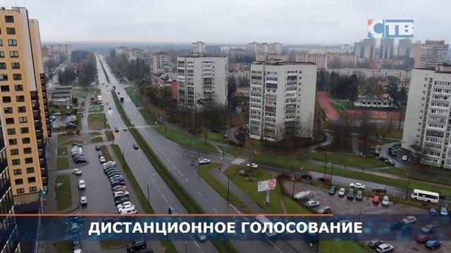 08.11.2023 Тренировка дистанционного электронного голосования.