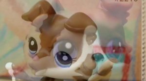 Кто Ты Из LPS Колли По Знаку Зодиака💜💜