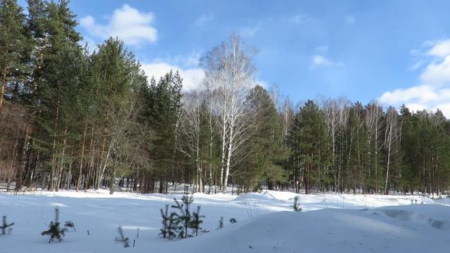 Последние дни зимы, скоро весна, The last days of winter, spring is coming смотреть онлайн