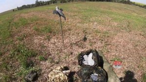 Мое снаряжение для охоты на голубя/чучела/маскировка/ружье